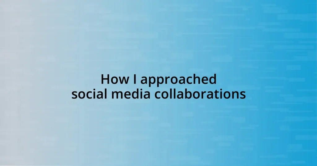 How I approached social media collaborations