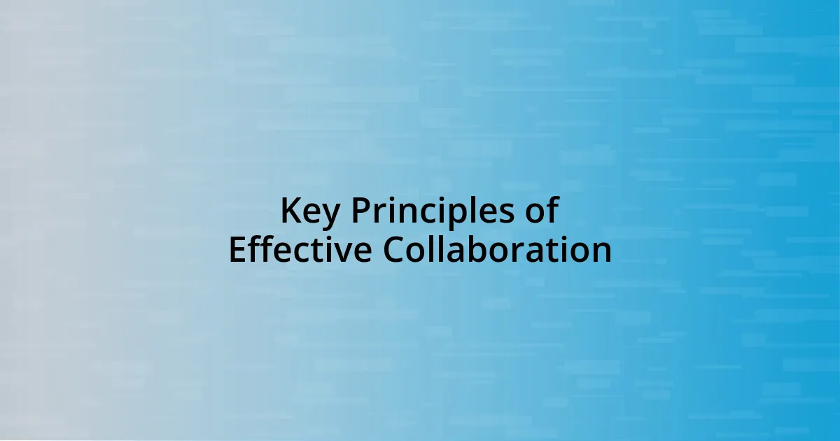 Key Principles of Effective Collaboration